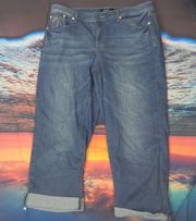 Earl jean capris size 12