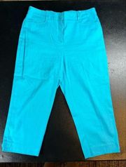 Petite Pants - Size 10P