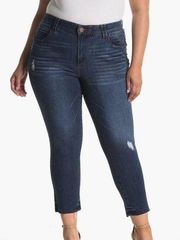 Democracy Ab Technology High Rise Vintage Skinny Jeans Size 22W NWT