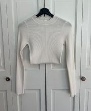 Long Sleeve Ruffle Turtle Neck