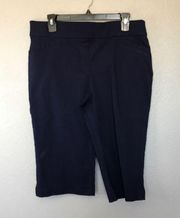 EUC Laura Scott  Navy Blue Capri Pants sz L