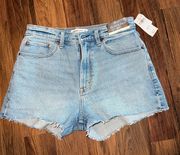 Curve Love Mom Jean Shorts