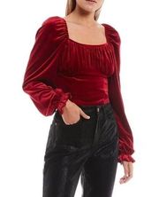 NWT Chelsea & Violet Red Velvet Crop Top