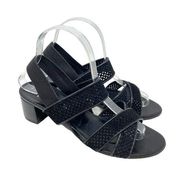 Aquatalia Cameo Block Heel Black Sandals Size US 8.5