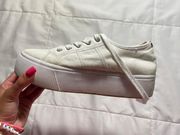 Steve Madden Elore Sneaker