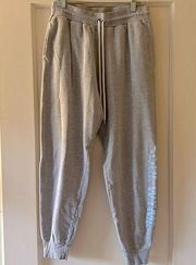 Soul Cycle gray joggers w SOUL WTML appliqué on side of leg M