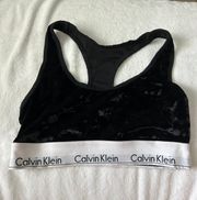 Calvin Klein velvet  bra