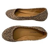 Lucky Brand | Animal print flats size 8.5