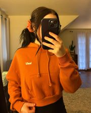 Orange Cropped  Hoodie