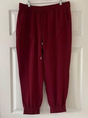 L Ann Taylor Red Jogger Style Casual Pants