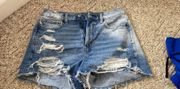 American Eagle Outfitters “Mom Shorts”