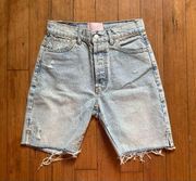 Revice Long 90s Cutoff Denim Shorts 28