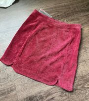 NWT  Skirt 4