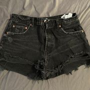 high waisted curved shorts