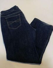 Riders by Lee Jeans  Women's Mid-Rise Straight Leg Jeans Size 16R