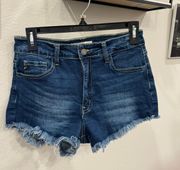 Frayed Denim Jean Shorts