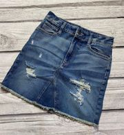 Arizona Denim Mini Skirt