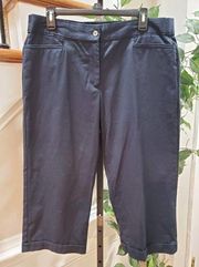 Sag Harbor Womens Blue Solid Cotton Casual Crop Length Stretch Capri Pants 14P