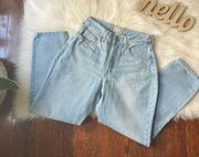 EVERLANE The Curvy 90s Cheeky Straight Jean Size 27 NWT