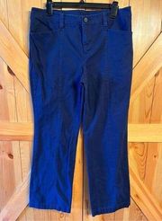 Duluth Trading Pants 12x31 Blue Chino Khaki Straight Flat Front Workwear (3172)