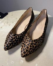 Ladies Garnet Hill cheetah print black and gold pointed toe flats 7.5