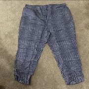 Women’s Size 26W Dennis by  Plaid Pants