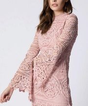 NWT Haute Rogue Emma Lace BodyCon Mini Dress