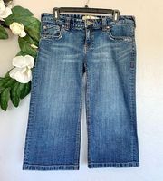 Roxy Denim Bermuda Distressed Blue Jean Shorts 9