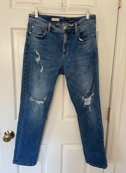 Anthropologie Pilcro Slim Boyfriend Crop Distressed Jeans Size 30