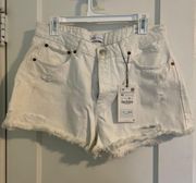 ZARA Jean Shorts