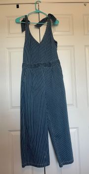 Womens Denim Striped Jumpsuit