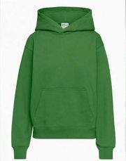 Aritzia TNA Green Extra Fleece Perfect Hoodie