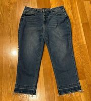 Time and tru women’s high rise frayed hem jeans size 18.