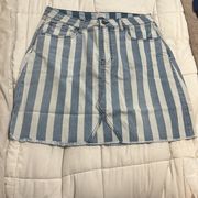 White Birch Striped Denim Skirt