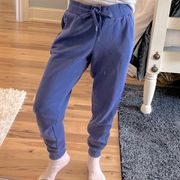 Soft Cozy Joggers Periwinkle Womens New Comfy Sweatpants