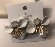 Kate Spade Earnings