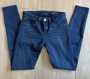 BLANK NYC- Spray-On Skinny Jeans- sz. 25