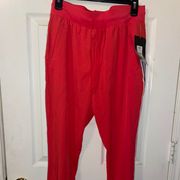 Avia Red Light Jogger Pants With Blue And White Stripes