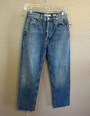 Re/Done Blue Straight Raw Hem Jeans Size 26