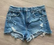 Abercrombie & Fitch The Mom Short High Rise Size 27/4