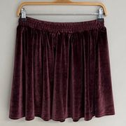 Velvet Skater Skirt