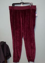 Abound Burgundy Velour Joggers with Pockets Size 1X