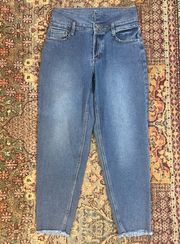 Arizona High Waisted Denim Jeans