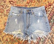 Articles of Society Distressed Shorts