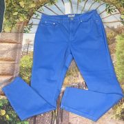 VINEYARD Vines breaker blue high rise skinny jeans size 30