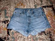 501 Shorts