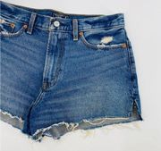 abercrombie & Fitch 28 Annie High rise shorts