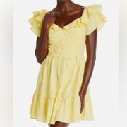 NWT  Yellow Floral Eyelet Cotton Mini Dress Sz L