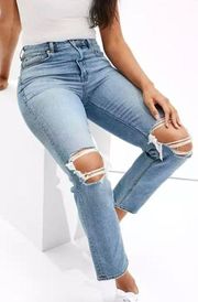 Outfitters Ripped Mom Jeans