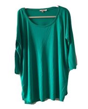 Calypso St. Barth Womens Size Medium Green Scoop Neck Stretch Tunic Top Blouse